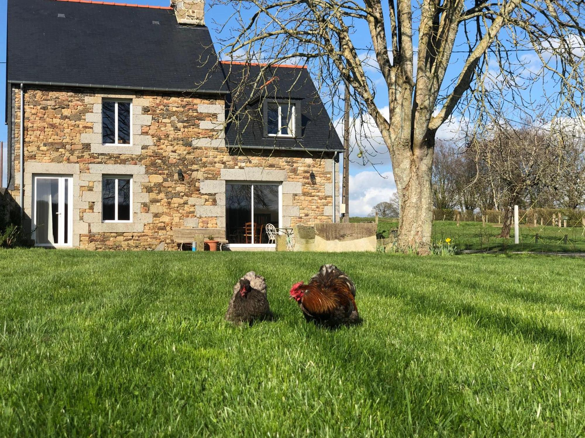 Maison Chic Proche Du Mont Saint Michel Marcilly  Exterior foto